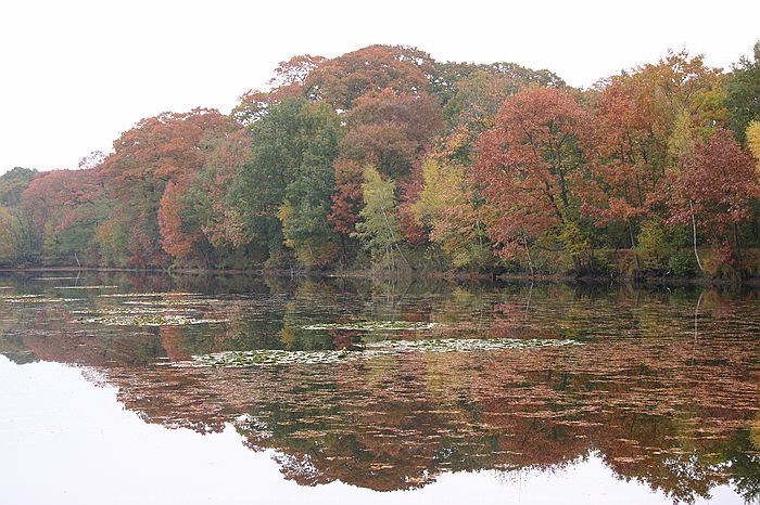 Merksplas Kolonie - Wandeling Vagebondjespad