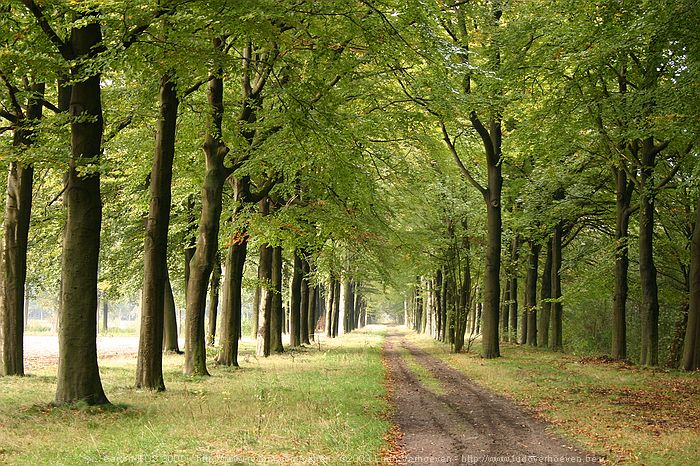 Merksplas Kolonie - Wandeling Vagebondjespad