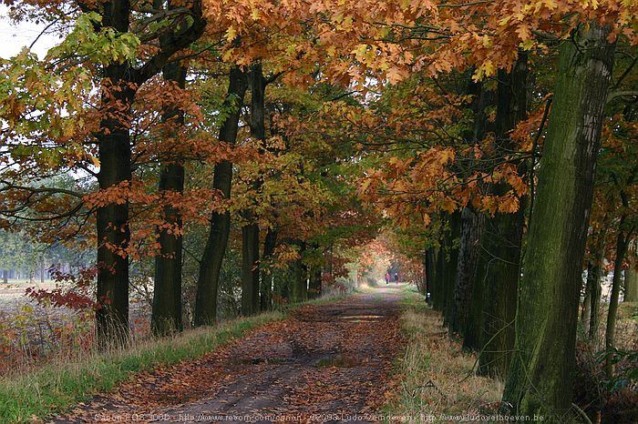Merksplas Kolonie - Wandeling Vagebondjespad