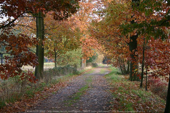 Merksplas Kolonie - Wandeling Vagebondjespad