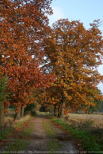 Merksplas Kolonie - Wandeling Vagebondjespad