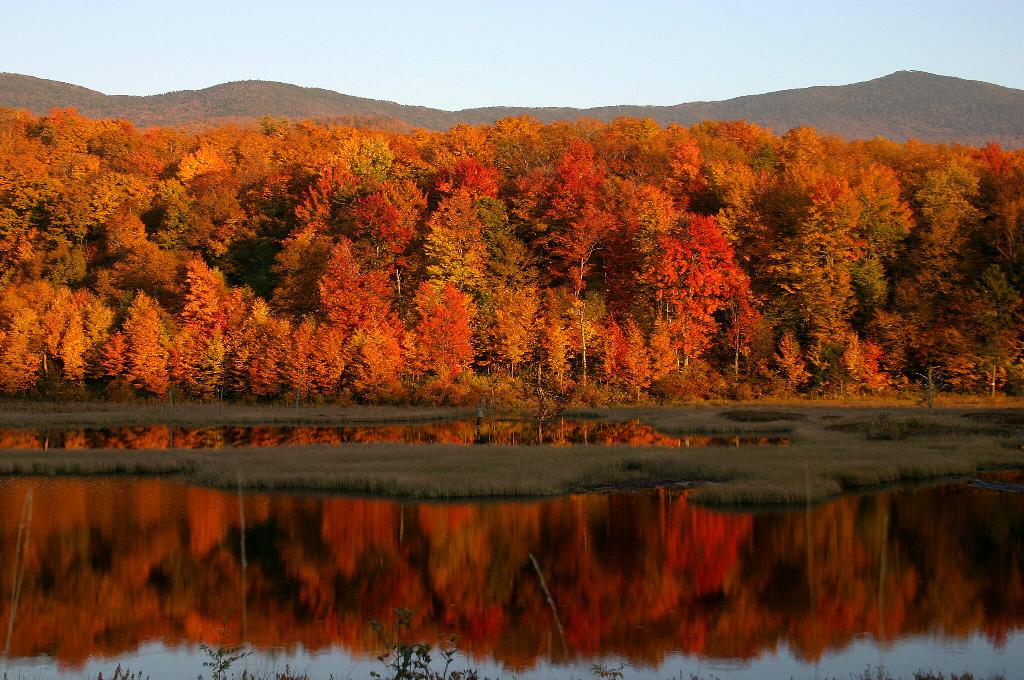 Sunset off Rt 102, Vermont