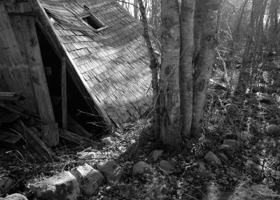 u34/maggs/medium/41351161.languidbarn.jpg
