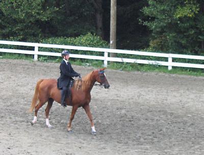 u34/malewis/medium/33177431.Casie2.jpg