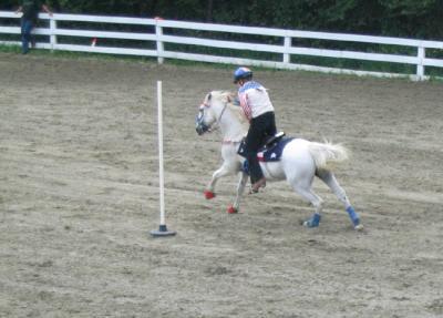 u34/malewis/medium/33177439.StartingPoleBending.jpg