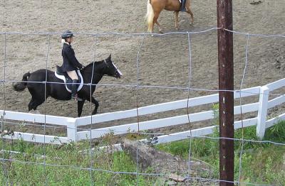 u34/malewis/medium/33177440.TaliaandCookie.jpg