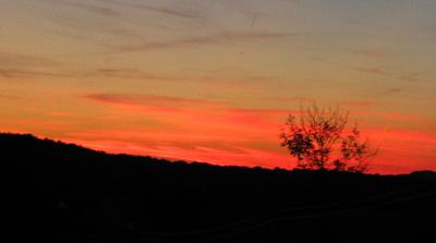 Red Sky Delight