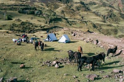 Camp just before Qollpaq'asa pass