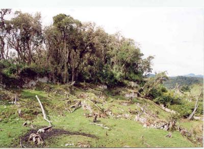 Cattaneo ruins near Leymebamba