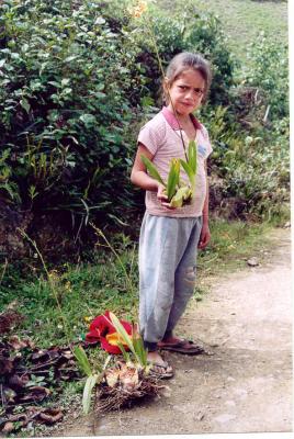 La Jalca girl selling orchids