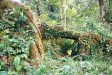 Tendi Pampa, discovered by Hiram Bingham in 1911
