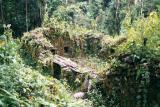 Mancos Palace emerging from the jungle
