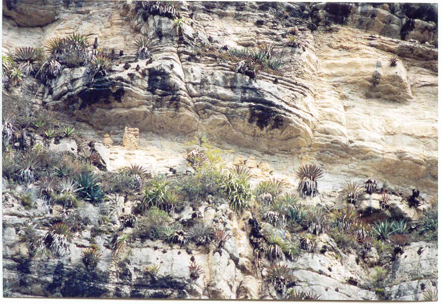 Teleview of San Antonio burial figures