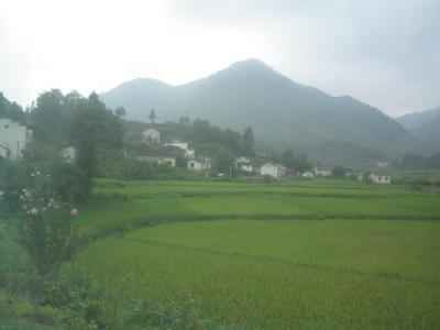 Rural Village.JPG