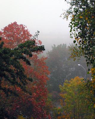 Oct 6: Misty morning