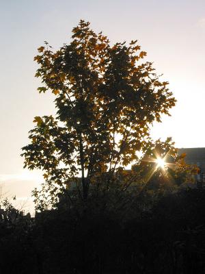 Oct 7: Sunny morning