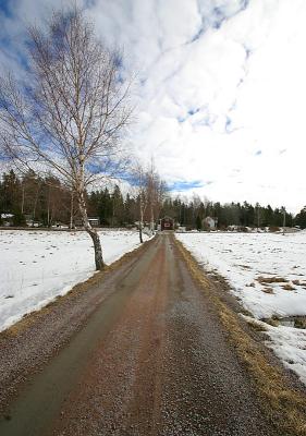 March 26: Country road