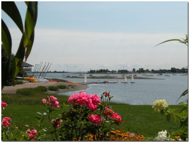 Longshore