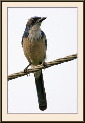 IMG_7690ps{Q}.jpg