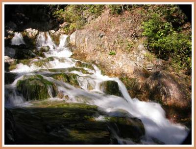 Fast flowing creek.