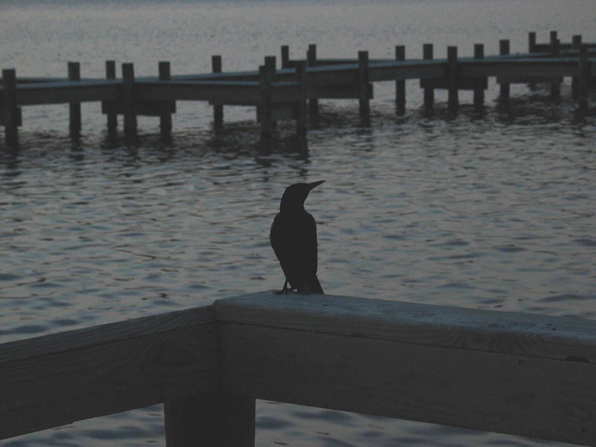 Titusville dock 3