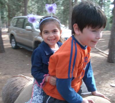 family_picnic