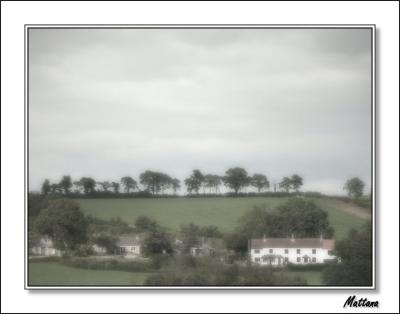 Devon Landscape