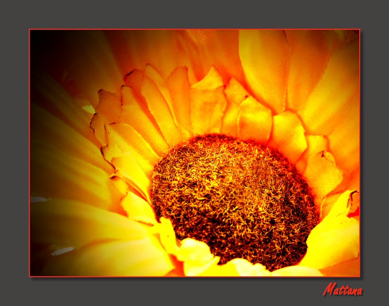 Paper flower