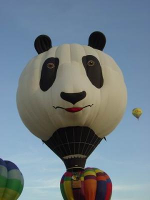 Balloons 2004 025.JPG