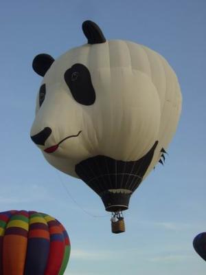 Balloons 2004 026.JPG