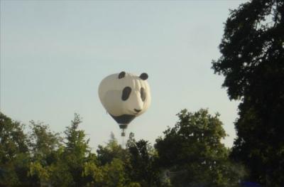 Balloons 2004 104.JPG