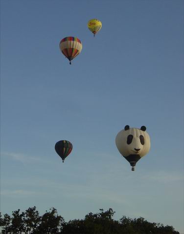Balloons 2004 035.JPG