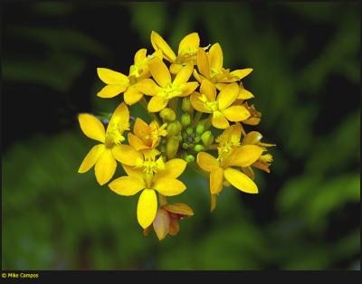 u34/mcampos/medium/41397720._DSC0019Posting.jpg