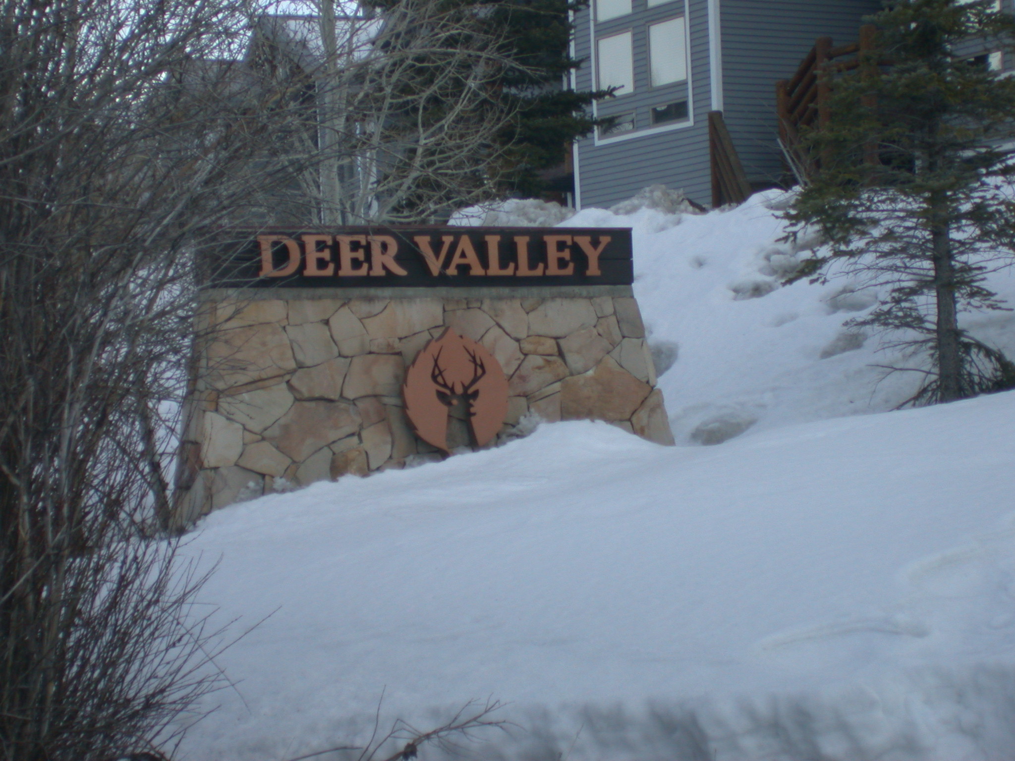 DSCN3048.jpg