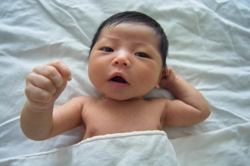 IMG01002.jpg