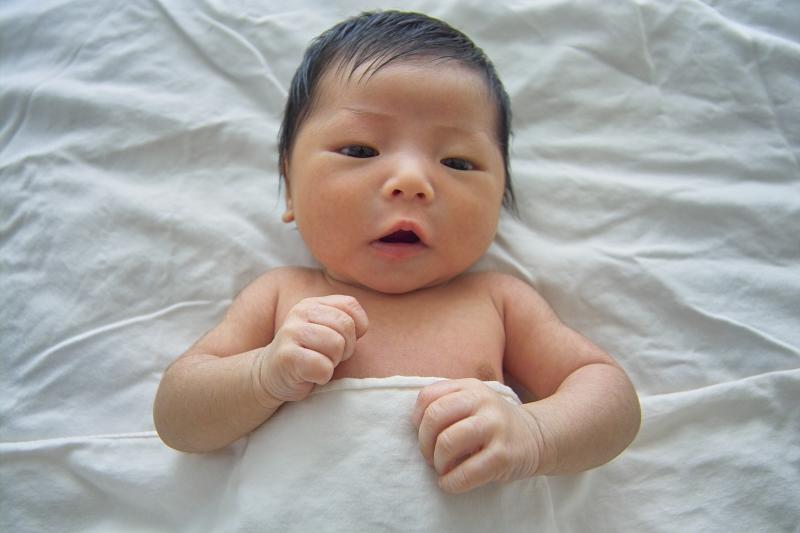 IMG01003.jpg
