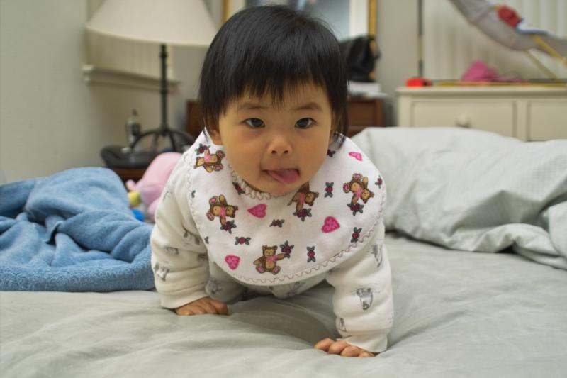 IMG03371.jpg