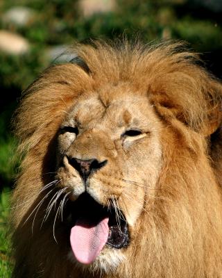 zoo0046r1.jpg