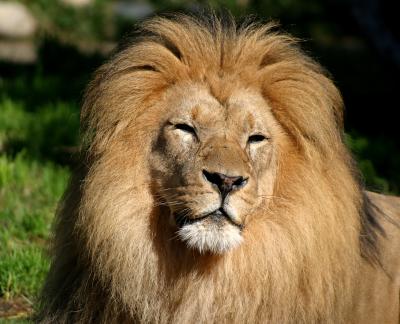zoo0021R1.jpg