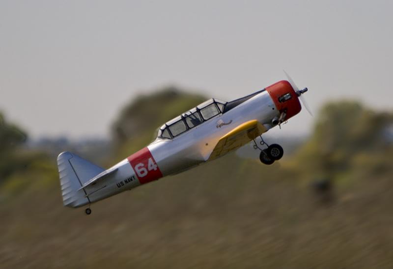 Havard-64.jpg