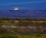 Moonset Over the Guadalupes 8849