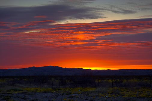 Desert Sunrise 8853