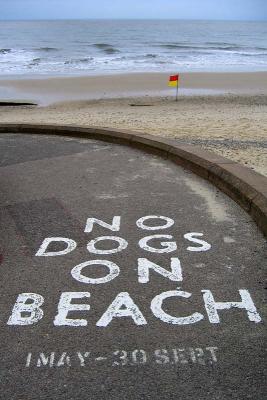 u34/mike_r/medium/31351380.July14thbLowstoftEngland.jpg