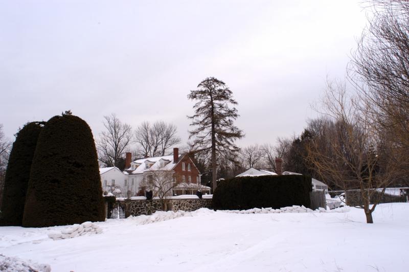 DSC_0748.jpg