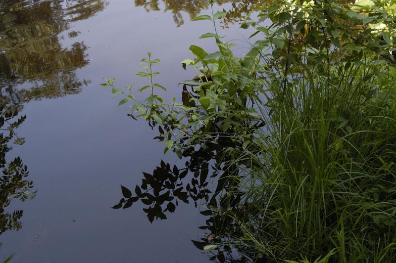 DSC_2313.jpg