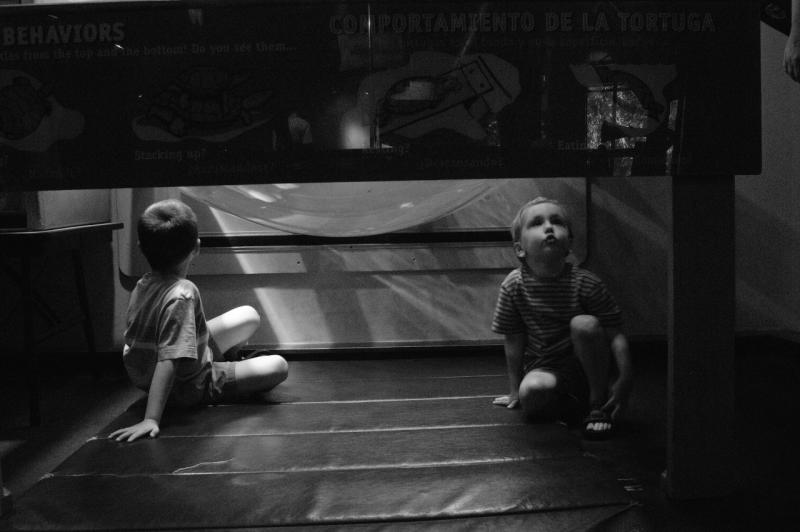 DSC_2684_bw.jpg