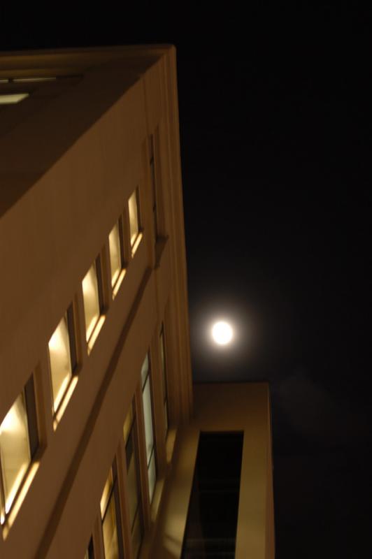 DSC_1113.jpg