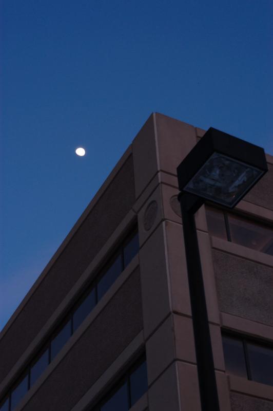 DSC_1152.jpg