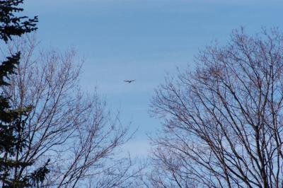 DSC_0782.jpg
