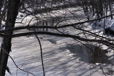 DSC_0787.jpg
